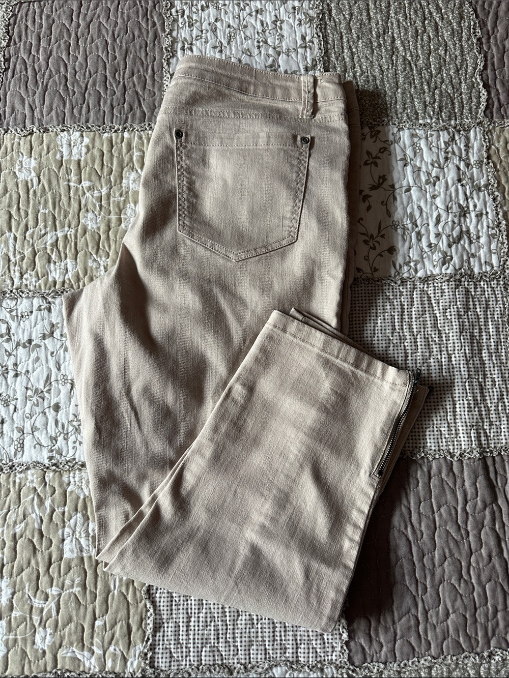 Women's Cleo Petite Tapered Leg Ankle Pants in Light Beige Size 12